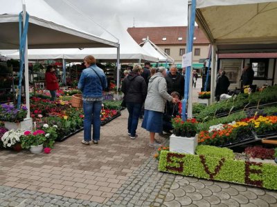 Zbog lošeg vremena prošlog vikenda, Flora Centrum Mundi dobila nastavak