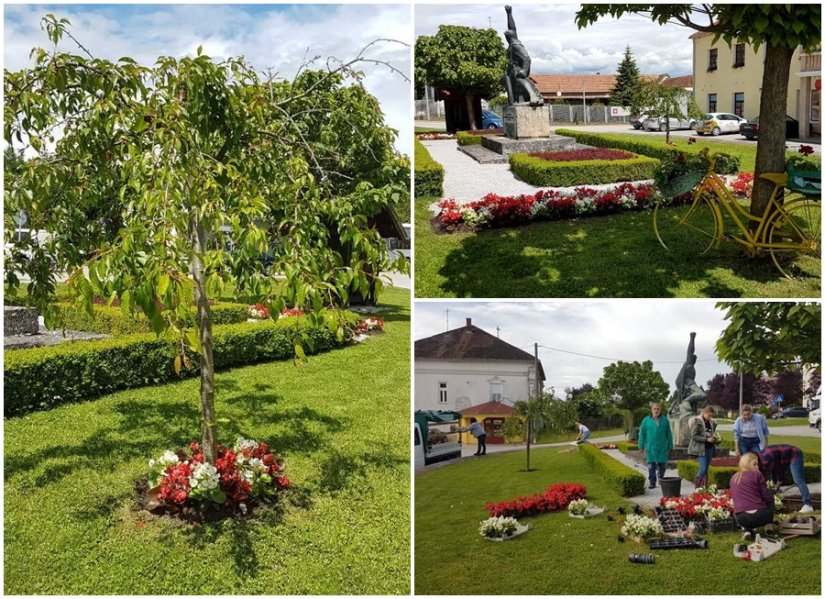 Vinica u cvjetnom ruhu: učenici Srednje škole &quot;Arboretum Opeka&quot; zasadili cvijeće