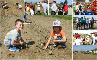 Mališani iz Dječjeg vrtića Bajka oduševljeni što su sami sadili varaždinsko zelje