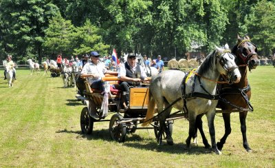 FOTO: Mještani uživali u bogatom programu Konjičkih igara u Zelendvoru