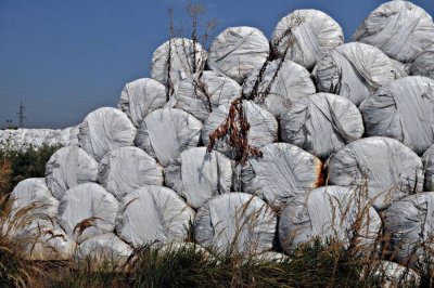 Da, bale su sramota, no problem je i pročistač: &quot;Ljudi se ne mogu normalno kupati, šetati i živjeti!&quot;