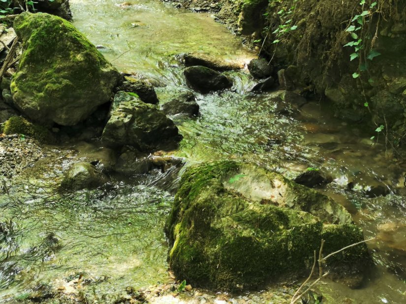 FOTO: Snimci prirode koji vas pozivaju da ljetno osvježenje potražite na Ivančici