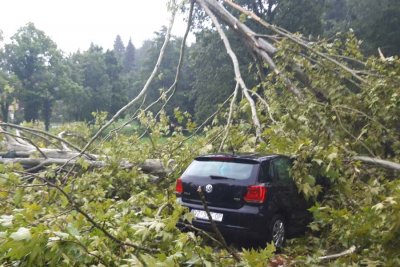 VIDEO: Olujno vrijeme poharalo Općinu Bednja, rušila se stabla i granje