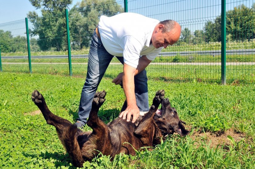 Zaigrani Bač - vjerni čuvar i prijatelj varaždinskog Reciklažnog dvorišta