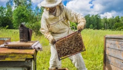 Općina Kneginec: Donirali zalihe za prihranu pčelinjih zajednica