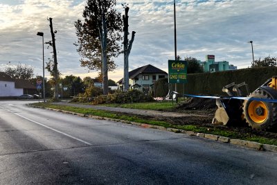 Zar se baš moralo: počelo rušenja plantana zbog izgradnje kružnog toka