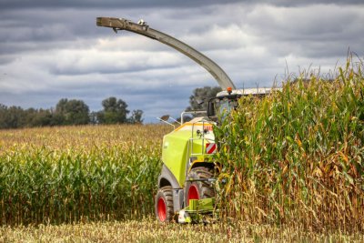 Lopov između Gornjeg Ladanja i Nove Vesi kombajnom požeo i ukrao 12 redova kukuruza