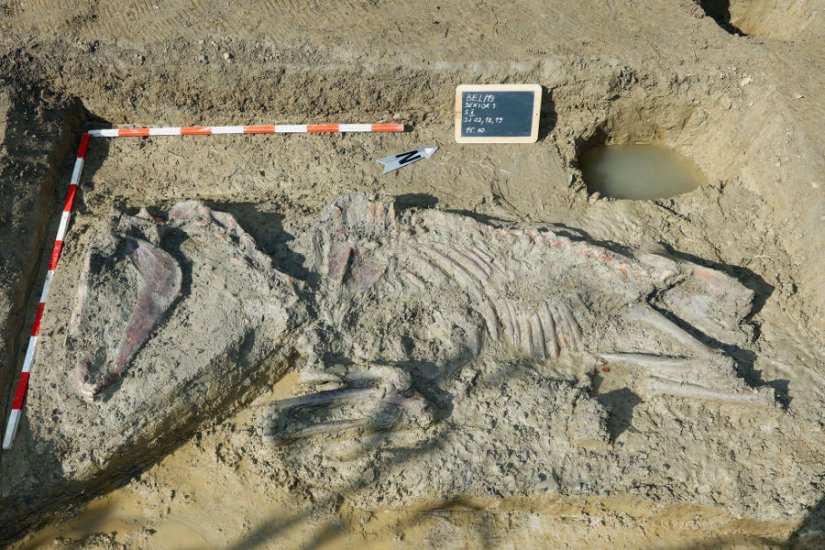 Arheološki nalaz poprilično iznenadio ekipu arheologa na lokalitetu Beletinec-Crkvišće