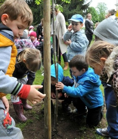 Pridružite se kolektivnoj sadnji drveća u subotu, 26. listopada, na Ravnoj gori