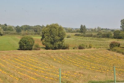 VAŽNO Za primatelje izravnih potpora poljoprivredi i IAKS mjera Ruralnog razvoja