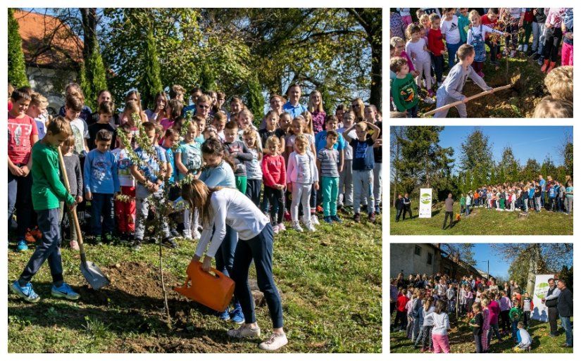 I Maruševec se pridružio nacionalnoj inicijativi sadnje stabala