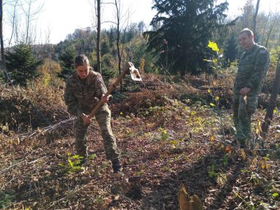 I pripadnici &quot;Puma&quot; u akciji &quot;Zasadi drvo, ne budi panj&quot;: zasadili 9000 sadnica na Ivanščici i Ravnoj Gori