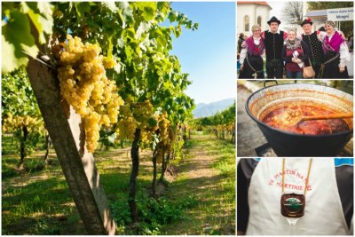 Tradicionalna proslava Martinja u Svetom Martinu na Muri