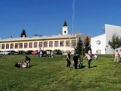 FOTO: I Topličanci se pridružili akciji „Zasadi drvo, ne budi panj!“ s desetak novih stabala