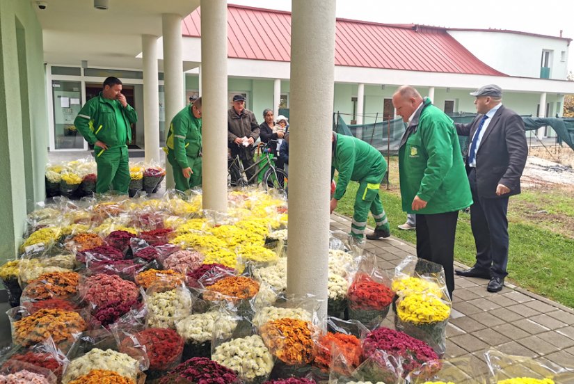 Parkovi u Caritasu podijelili tegle s krizantemama