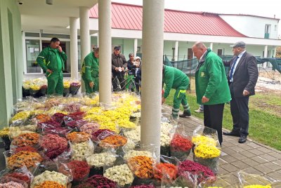 Parkovi u Caritasu podijelili tegle s krizantemama