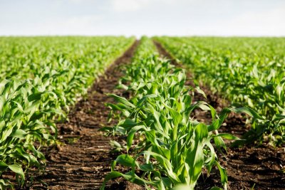 LAG Sjeverozapad raspisao natječaj za velika poljoprivredna gospodarstva vrijedan više od 650.000 kuna