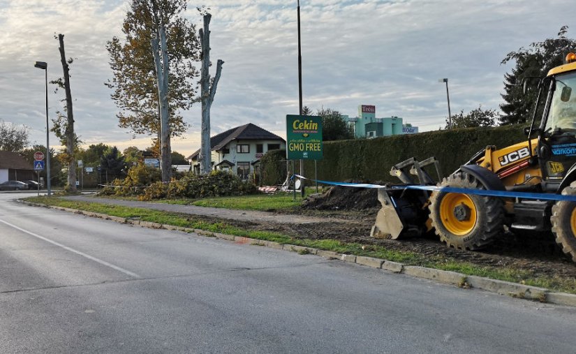 Platane su srušene početkom listopada