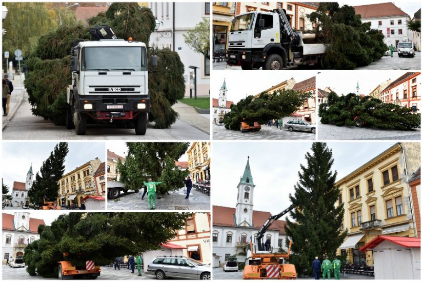 FOTO: Danas je na Korzo stigla i božićna jelka