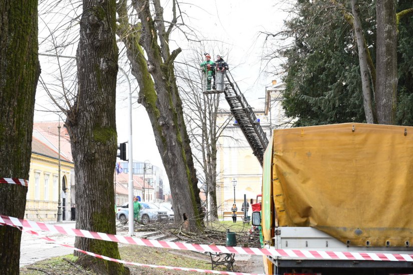 Zbog srušenih grana s drveća zatvoren promet Cesarčevom ulicom od Kazališta do Policije