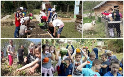 519 učenika iz varaždinskih škola radom u vrtu učilo o bioraznolikosti, zdravoj hrani i održivosti