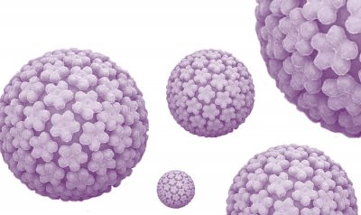Obilježavanje Međunarodnog dana za podizanje svjesnosti o HPV infekciji na Sveučilištu Sjever