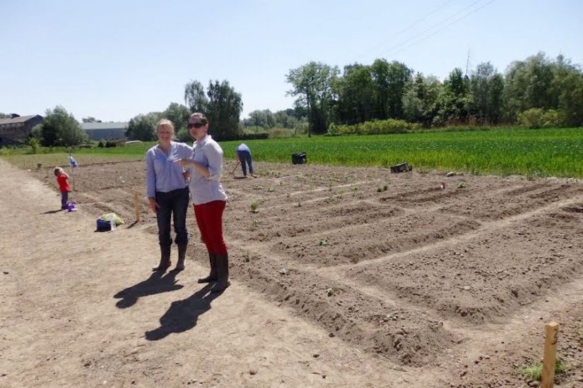 Ludbrežani, prijavite se za svoju parcelu u &quot;Varoškim vrtima&quot;