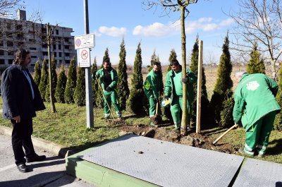 Sadnjom drveća u Grabanicama počelo ovogodišnje ozelenjivanje grada