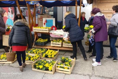 FOTO: Toplička Udruga žena &quot;Naši cajti&quot; darivala sugrađanke povodom Dana žena