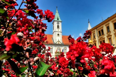 Grad Varaždin 2. i 3. travnja organizira podjelu besplatnog gnojiva za 420 varaždinskih obitelji