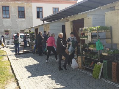 Na varaždinskom placu otvorene kućice sa sadnicama, a Udruga tržnica traži jasne upute