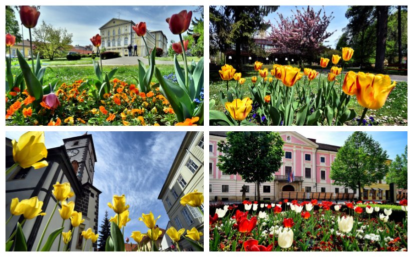 FOTO: Proljeće u baroknom gradu Varaždinu, nemojte da vam promakne ova ljepota