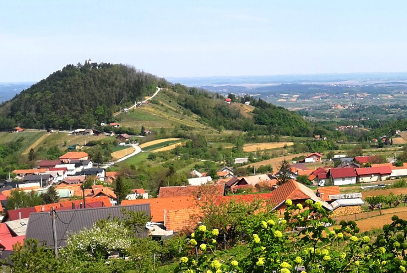 Ukrali puške, ribički štap pa i sladoled, a u vikendice provaljivao - 15-godišnjak!?