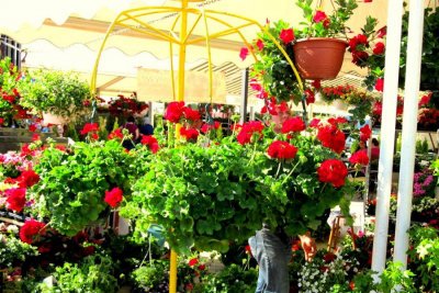 Sljedeća dva vikenda u Ludbregu Tržnica cvijeća i domaćih proizvoda
