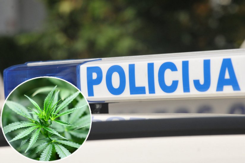 45-godišnjakinja pokraj vikendice u okolici Varaždina uzgajala marihuanu