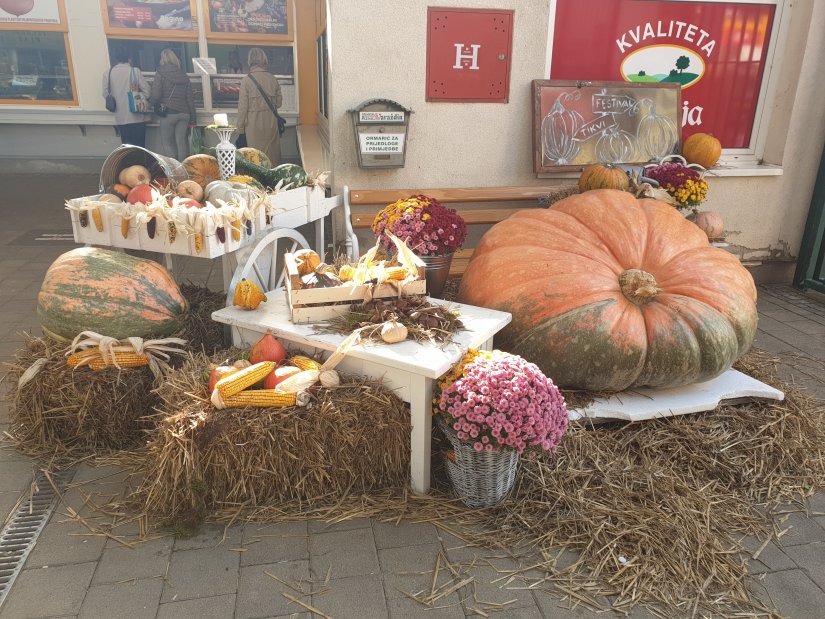 Na placu u subotu 8. festival tikvi: rekorderka ima više od 300 kg