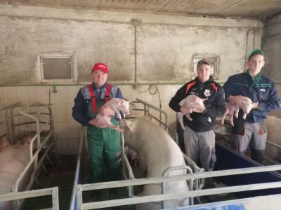 Sugovornik Damir Jagić kojemu, uz suprugu, na farmi svinja u Svetom Đurđu, pomažu sin,kćer i nećak
