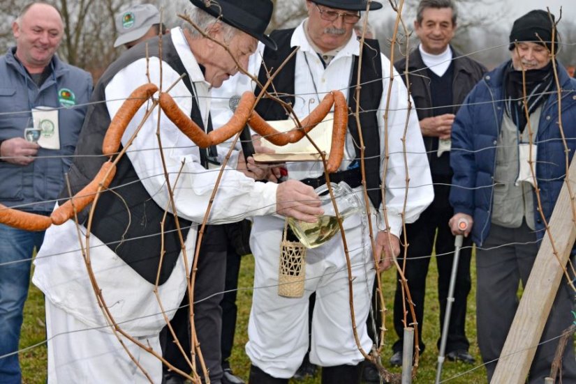 KAKVA SU VJEROVANJA Danas je Vincekovo &quot;Če Vinka sunce peče, v lagve vino teče!&quot;