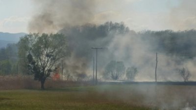 Paljenjem niskog raslinja na oranici počinjena šteta od više tisuća kuna