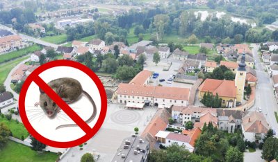 Od 20. svibnja do 5. lipnja deratizacija na ludbreškom području