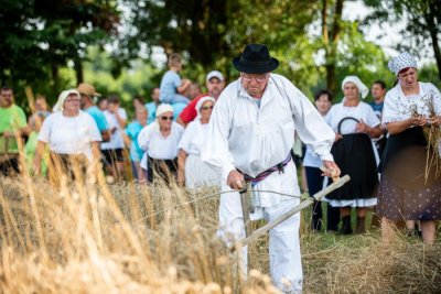 FOTO Žitno polje u trnovečkom Gaju u duhu starih vremena, održane Žetvene svečanosti