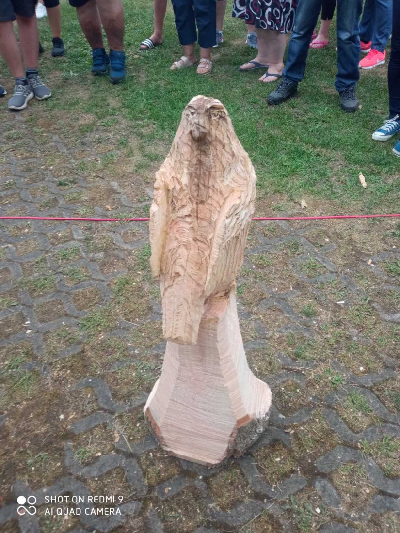 FOTO Na Festivalu kiparenja motornom pilom najvještiji Matija Vavdi i Bogdan Jerić