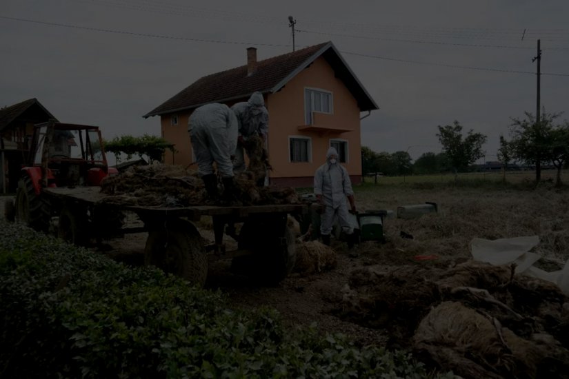 U pucnjavi ubijena žena te ranjeno dijete i još nekoliko osoba - intenzivna potraga za počiniteljem