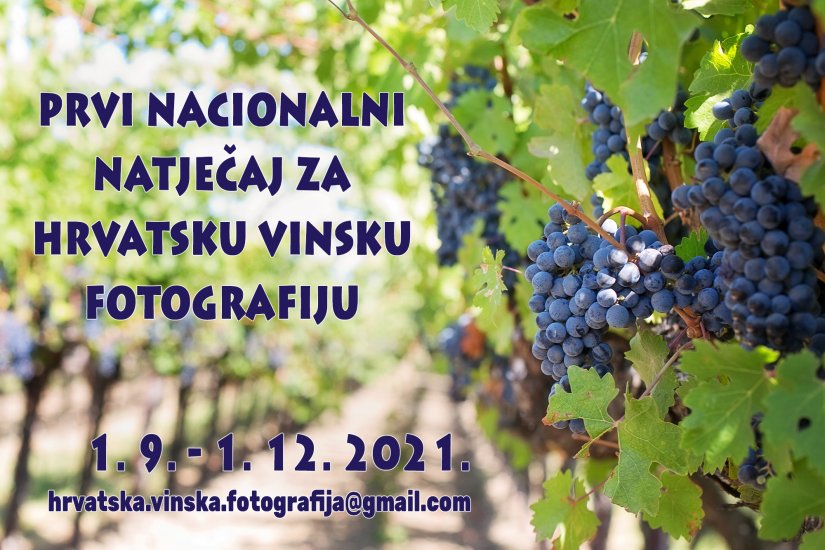 Raspisan prvi nacionalni natječaj za hrvatsku vinsku fotografiju 2021.