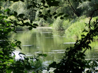 UNESCO Rezervat biosfere Mura-Drava-Dunav postao najveće zaštićeno riječno područje u Eurupi i prvi takav u svijetu