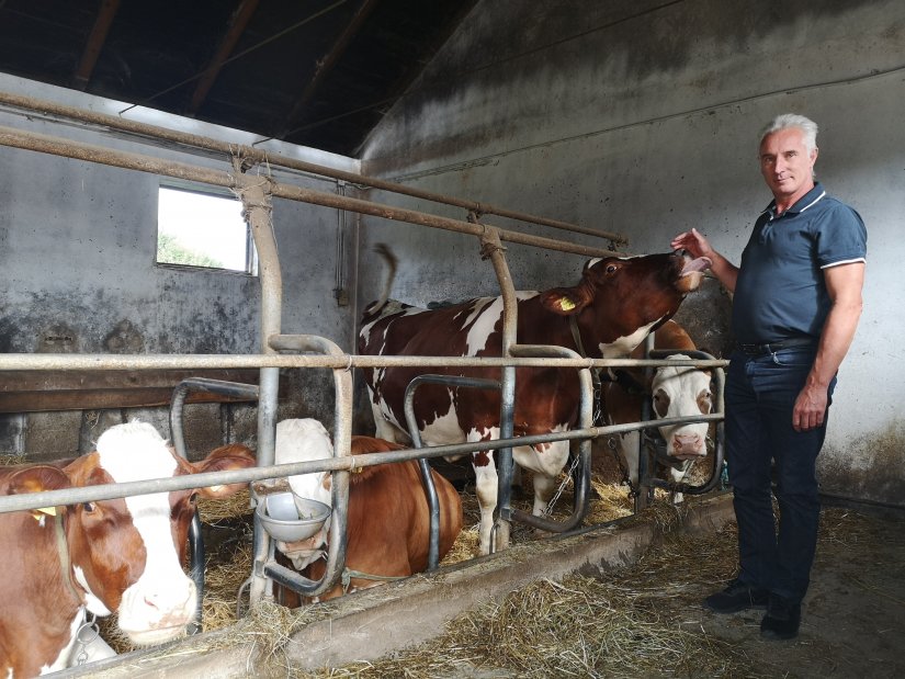 Obitelj Popović iz Čičkovine: &quot;Ratarska proizvodnja nam je spas jer mljekarstvo nosi - minus&quot;
