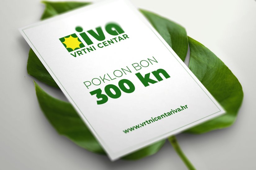 Vrtni centar Iva nagrađuje darovnom karticom u vrijednosti od 300 kuna
