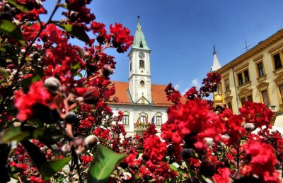 Raspisan Javni poziv za predlaganje članova Kulturnog vijeća Grada Varaždina