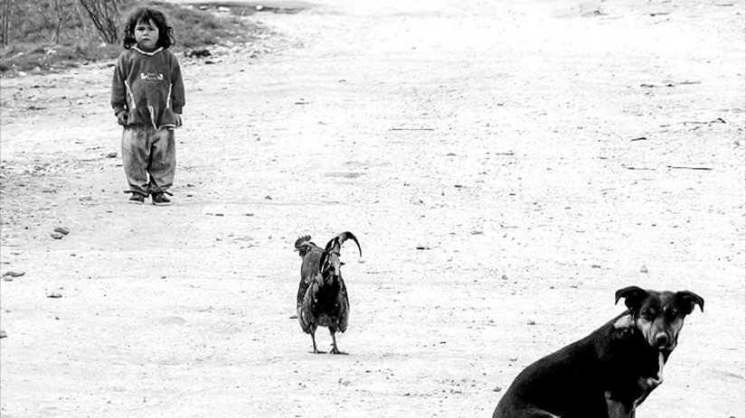 "Zoričin novi život": Prvi od pet kratkih dokumentarnih filmova o Romima koji su uspjeli