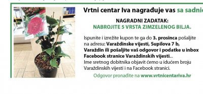 Vrtni centar Iva nagrađuje vas sa sadnicom Camellie